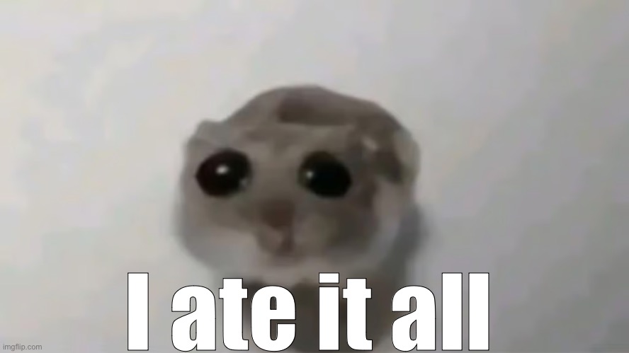 hampter sad | I ate it all | image tagged in hampter sad | made w/ Imgflip meme maker
