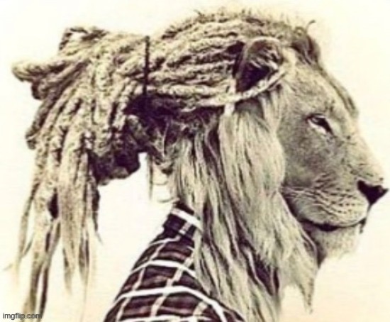 You can’t escape sauce | image tagged in lion with dreads | made w/ Imgflip meme maker