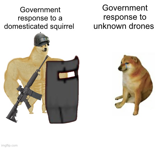 Priorities | Government response to unknown drones; Government response to a domesticated squirrel | image tagged in memes,buff doge vs cheems,politics lol | made w/ Imgflip meme maker