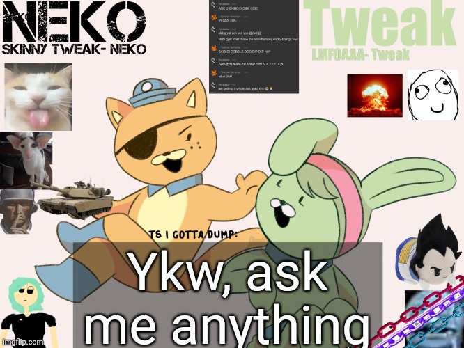 Tweak and Neko Shared temp | Ykw, ask me anything | image tagged in tweak and neko shared temp | made w/ Imgflip meme maker