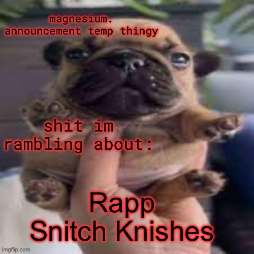 pug temp | Rapp Snitch Knishes | image tagged in pug temp | made w/ Imgflip meme maker