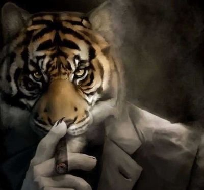 tiger smoking cigar Blank Meme Template