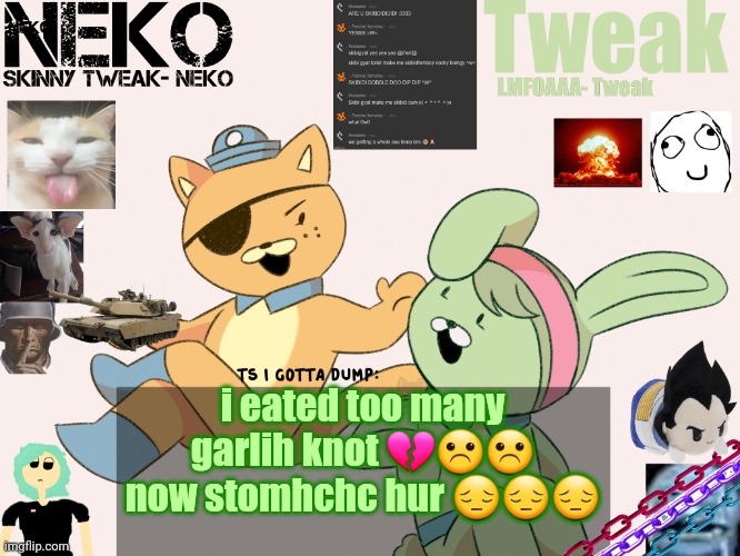 Tweak and Neko Shared temp | i eated too many garlih knot 💔☹️☹️ now stomhchc hur 😔😔😔 | image tagged in tweak and neko shared temp | made w/ Imgflip meme maker