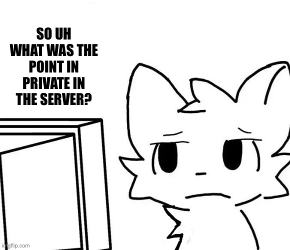 Was it just a test? | SO UH WHAT WAS THE POINT IN PRIVATE IN THE SERVER? | image tagged in boykisser v2 | made w/ Imgflip meme maker