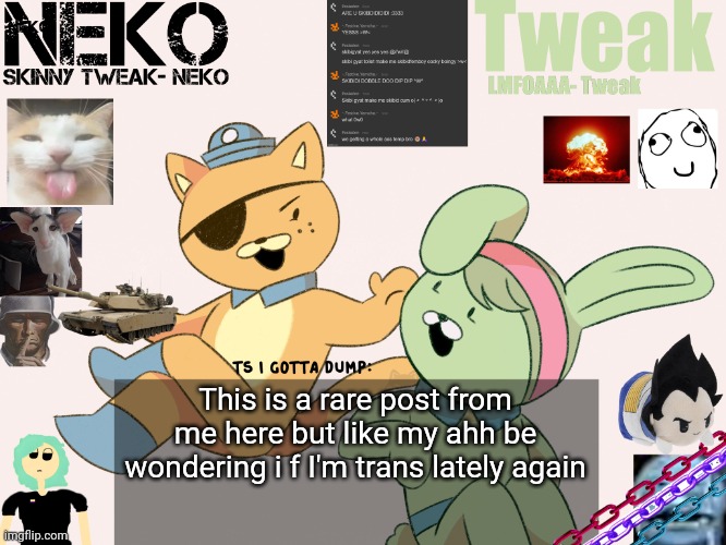 Tweak and Neko Shared temp | This is a rare post from me here but like my ahh be wondering i f I'm trans lately again | image tagged in tweak and neko shared temp | made w/ Imgflip meme maker