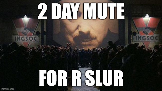 1984 | 2 DAY MUTE; FOR R SLUR | image tagged in 1984 | made w/ Imgflip meme maker