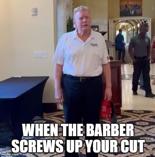 barber screws up | WHEN THE BARBER SCREWS UP YOUR CUT | image tagged in trump bad haircut | made w/ Imgflip meme maker