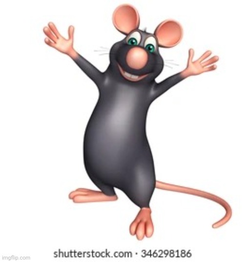 HAPPY STOCK RAT | image tagged in happy stock rat | made w/ Imgflip meme maker