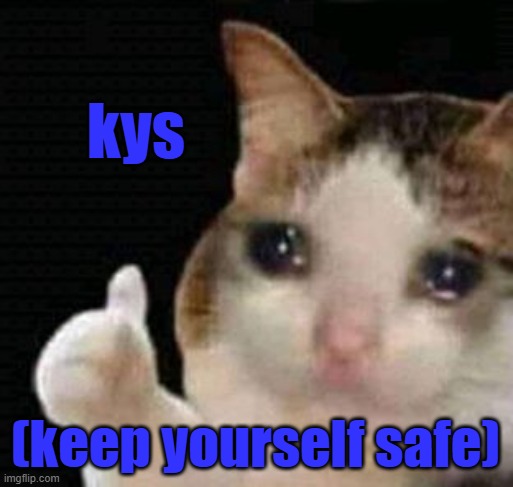 remember my fellers | kys; (keep yourself safe) | image tagged in sad thumbs up cat,funny,kys,keep yourself safe,cat,memes | made w/ Imgflip meme maker