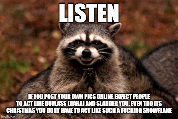 N | LISTEN; IF YOU POST YOUR OWN PICS ONLINE EXPECT PEOPLE TO ACT LIKE DUM,ASS (HAHA) AND SLANDER YOU. EVEN THO ITS CHRISTMAS YOU DONT HAVE TO ACT LIKE SUCH A FUCKING SNOWFLAKE | image tagged in memes,evil plotting raccoon | made w/ Imgflip meme maker