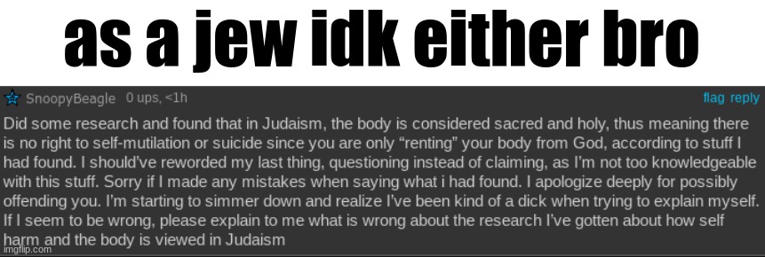 as a jew idk either bro | made w/ Imgflip meme maker