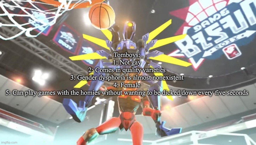 v1 ballin | Tomboys:

1: Not gay
2: Comes in quality varieties
3: Gender dysphoria is almost nonexistent
4: Female
5: Can play games with the homies without wanting to be dicked down every five seconds | image tagged in v1 ballin | made w/ Imgflip meme maker