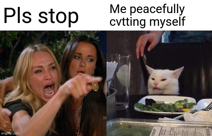 Woman Yelling At Cat | Pls stop; Me peacefully cvtting myself | image tagged in memes,woman yelling at cat | made w/ Imgflip meme maker