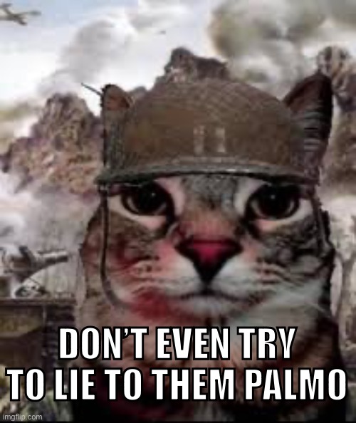 I saw it | DON’T EVEN TRY TO LIE TO THEM PALMO | image tagged in 1000 yard stare cat | made w/ Imgflip meme maker