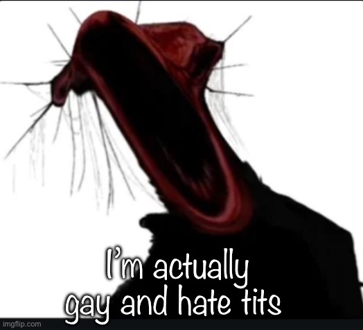 /j or /srs? | I’m actually gay and hate tits | image tagged in when i m talking but i get testicular torsion | made w/ Imgflip meme maker