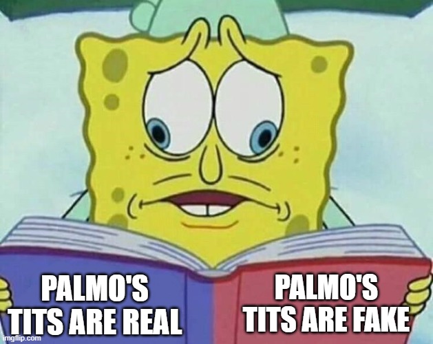 cross eyed spongebob | PALMO'S TITS ARE FAKE; PALMO'S TITS ARE REAL | image tagged in cross eyed spongebob | made w/ Imgflip meme maker