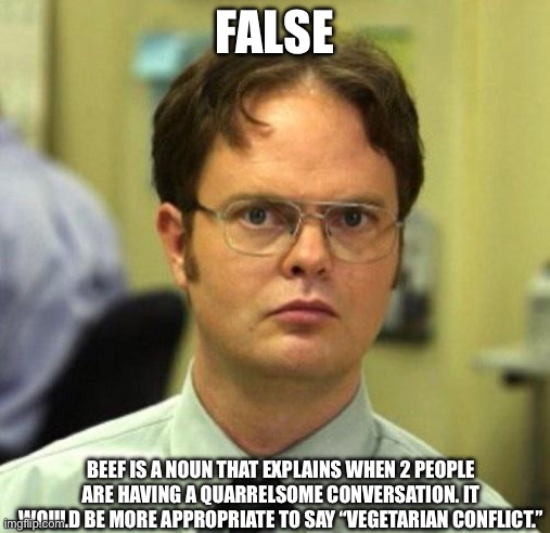 FALSE BEEF IS A NOUN THAT EXPLAINS WHEN 2 PEOPLE ARE HAVING A QUARRELSOME CONVERSATION. IT WOULD BE MORE APPROPRIATE TO SAY “VEGETARIAN CONF | image tagged in false | made w/ Imgflip meme maker