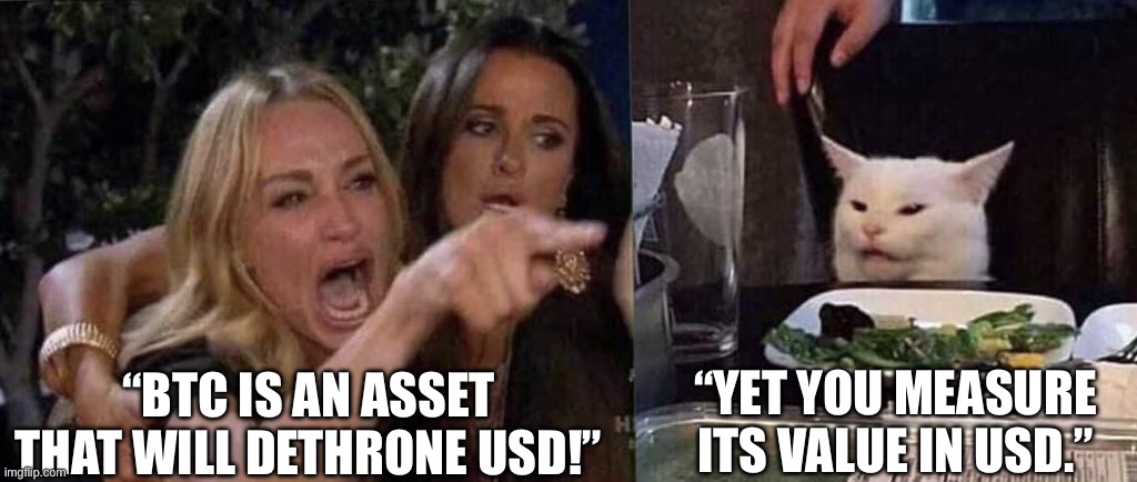 Irony | “YET YOU MEASURE ITS VALUE IN USD.”; “BTC IS AN ASSET THAT WILL DETHRONE USD!” | image tagged in woman yelling at cat | made w/ Imgflip meme maker