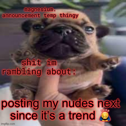 pug temp | posting my nudes next since it’s a trend 🙇‍♂️ | image tagged in pug temp | made w/ Imgflip meme maker