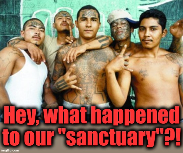 mexican gang members | Hey, what happened
to our "sanctuary"?! | image tagged in mexican gang members | made w/ Imgflip meme maker