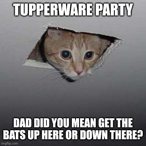 Ceiling Cat | TUPPERWARE PARTY; DAD DID YOU MEAN GET THE BATS UP HERE OR DOWN THERE? | image tagged in memes,ceiling cat | made w/ Imgflip meme maker