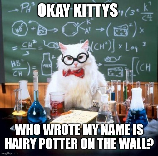 Chemistry Cat | OKAY KITTYS; WHO WROTE MY NAME IS HAIRY POTTER ON THE WALL? | image tagged in memes,chemistry cat | made w/ Imgflip meme maker