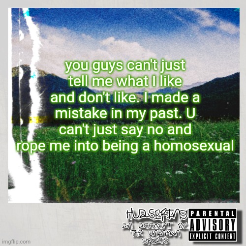 HuaSpring Temp | you guys can't just tell me what I like and don't like. I made a mistake in my past. U can't just say no and rope me into being a homosexual | image tagged in huaspring temp | made w/ Imgflip meme maker