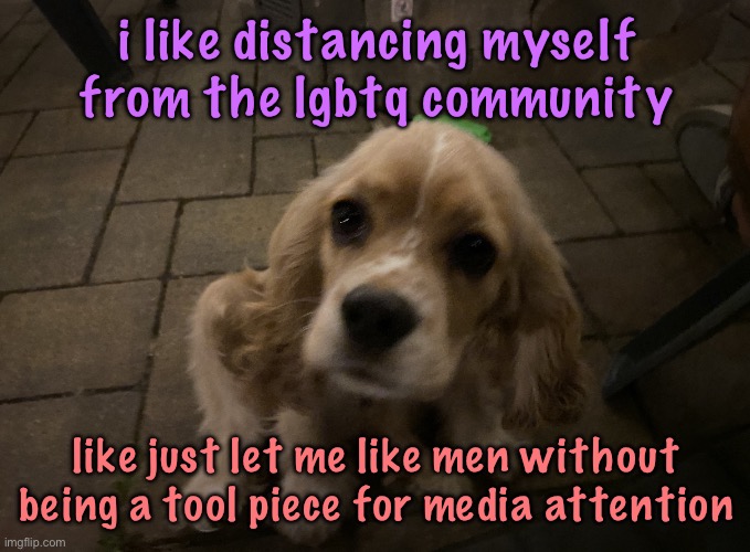 that and making that shit your whole personality is annoying and weird | i like distancing myself from the lgbtq community; like just let me like men without being a tool piece for media attention | image tagged in dumb little idiot gnocchi,cinnabox announcement | made w/ Imgflip meme maker