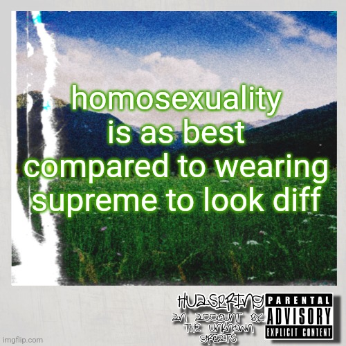 HuaSpring Temp | homosexuality is as best compared to wearing supreme to look diff | image tagged in huaspring temp | made w/ Imgflip meme maker