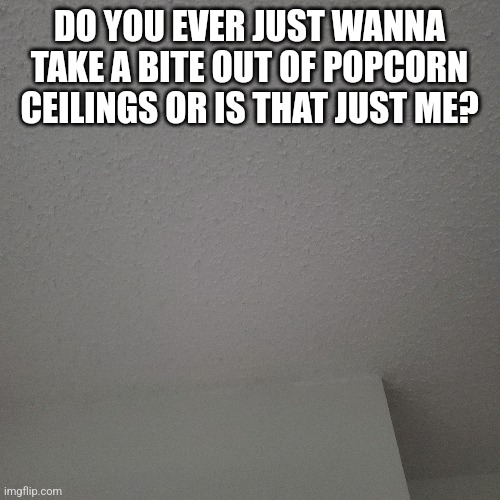 I'm fully aware that I would probably die and it would taste bad but it just looks crunchy | DO YOU EVER JUST WANNA TAKE A BITE OUT OF POPCORN CEILINGS OR IS THAT JUST ME? | made w/ Imgflip meme maker
