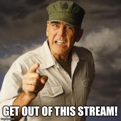 R Lee Ermey | GET OUT OF THIS STREAM! | image tagged in r lee ermey | made w/ Imgflip meme maker