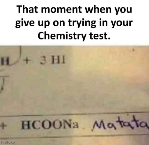 No troubles | image tagged in trouble,hakuna matata,chemistry,failure | made w/ Imgflip meme maker