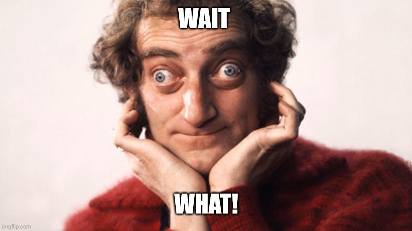 marty feldman strabico strabismo | WAIT WHAT! | image tagged in marty feldman strabico strabismo | made w/ Imgflip meme maker