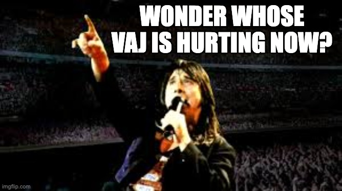 WONDER WHOSE VAJ IS HURTING NOW? | image tagged in gators | made w/ Imgflip meme maker