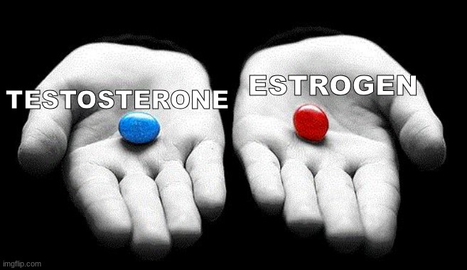 TESTOSTERONE ESTROGEN | image tagged in red pills blue pills | made w/ Imgflip meme maker