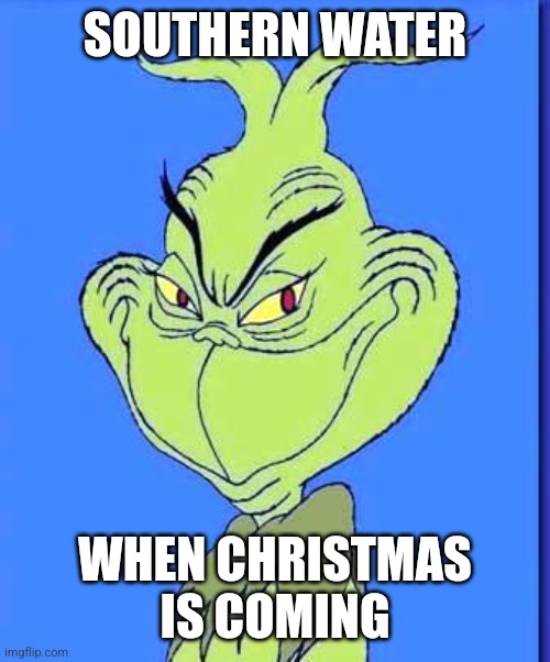 Good Grinch | SOUTHERN WATER; WHEN CHRISTMAS IS COMING | image tagged in good grinch | made w/ Imgflip meme maker