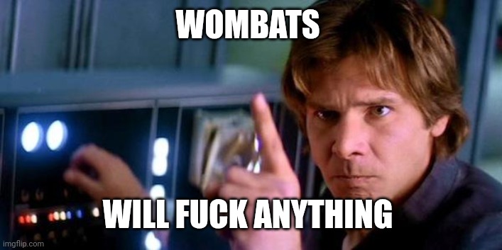 Angry Han Solo | WOMBATS WILL FUCK ANYTHING | image tagged in angry han solo | made w/ Imgflip meme maker