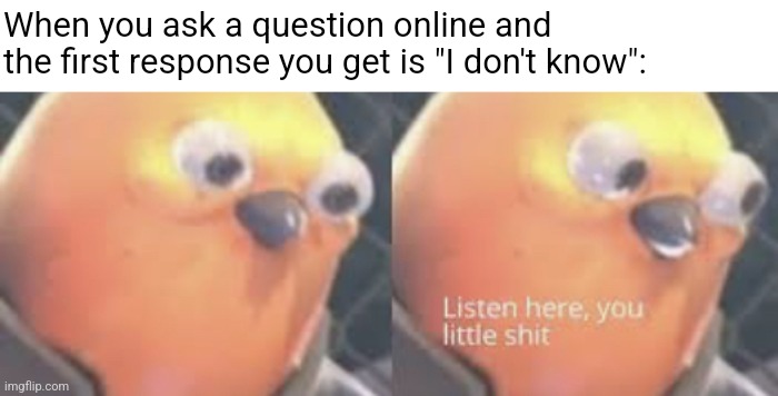 Low IQ response | When you ask a question online and the first response you get is "I don't know": | image tagged in listen here you little shit bird | made w/ Imgflip meme maker