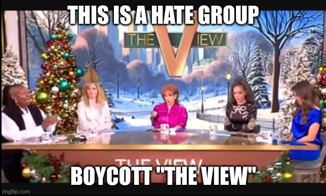 expression memes | THIS IS A HATE GROUP; BOYCOTT ''THE VIEW'' | image tagged in the view | made w/ Imgflip meme maker