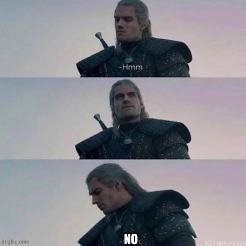 Witcher hmm | NO | image tagged in witcher hmm | made w/ Imgflip meme maker