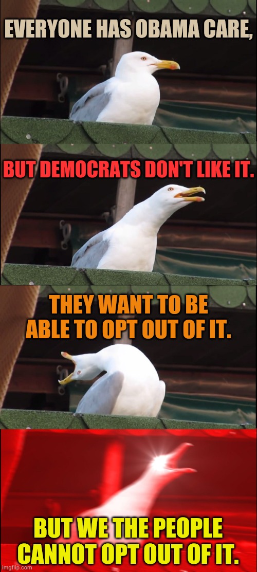 The Things That Are In Spending Bills | EVERYONE HAS OBAMA CARE, BUT DEMOCRATS DON'T LIKE IT. THEY WANT TO BE ABLE TO OPT OUT OF IT. BUT WE THE PEOPLE CANNOT OPT OUT OF IT. | image tagged in memes,inhaling seagull,obamacare,public,not me,politics | made w/ Imgflip meme maker