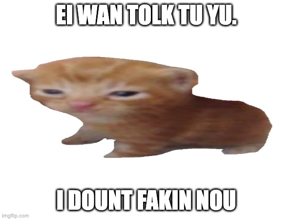 EI WAN TOLK TU YU. I DOUNT FAKIN NOU | made w/ Imgflip meme maker