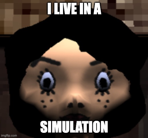 I LIVE IN A SIMULATION | made w/ Imgflip meme maker