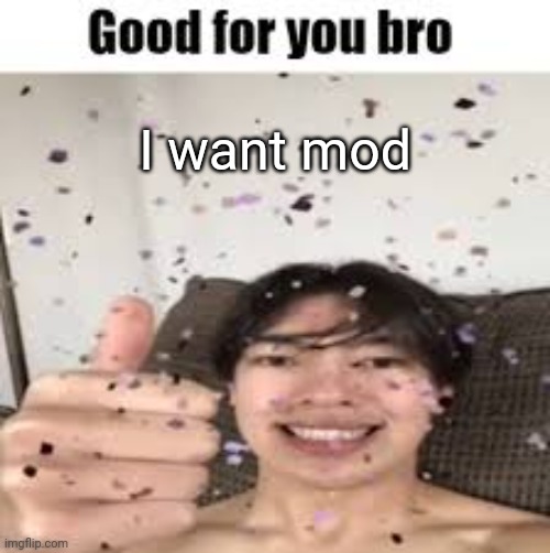 Good for you bro (Iraqi_Randomizer temp) | I want mod | image tagged in good for you bro iraqi_randomizer temp | made w/ Imgflip meme maker