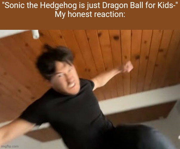 There are zero similarities between the two. | "Sonic the Hedgehog is just Dragon Ball for Kids-"
My honest reaction: | image tagged in markiplier punch | made w/ Imgflip meme maker