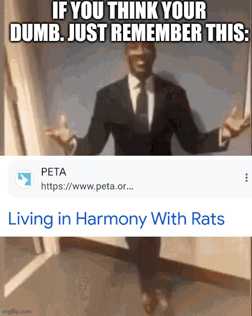 Peta oh peta wtf is wrong with you | IF YOU THINK YOUR DUMB. JUST REMEMBER THIS: | image tagged in smiling black guy in suit,peta,veganism,wtf | made w/ Imgflip meme maker