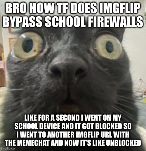 Jinx Staring | BRO HOW TF DOES IMGFLIP BYPASS SCHOOL FIREWALLS; LIKE FOR A SECOND I WENT ON MY SCHOOL DEVICE AND IT GOT BLOCKED SO I WENT TO ANOTHER IMGFLIP URL WITH THE MEMECHAT AND NOW IT’S LIKE UNBLOCKED | image tagged in jinx staring | made w/ Imgflip meme maker