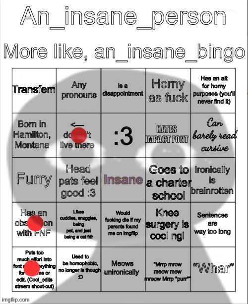 image tagged in an_insane_bingo december 2024 | made w/ Imgflip meme maker