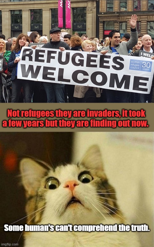 EUs , Canada is  done Mexico run by Cartels , US is on its way.Open your eyes look around Middle EAST being Balkinized. | Not refugees they are invaders, it took a few years but they are finding out now. Some human's can't comprehend the truth. | image tagged in memes,scared cat | made w/ Imgflip meme maker