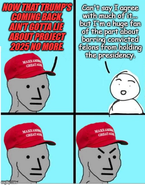 For the record, Trump-cult kids, we all knew you were lying soooo... | NOW THAT TRUMP'S
COMING BACK,
AIN'T GOTTA LIE 
ABOUT PROJECT
2025 NO MORE. Can't say I agree
with much of it...
but I'm a huge fan
of the part about
barring convicted
felons from holding
the presidency. | image tagged in maga npc room for more text,liar liar pants on fire | made w/ Imgflip meme maker